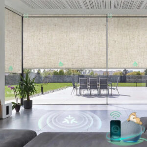 Motorized Matter Roller Shades