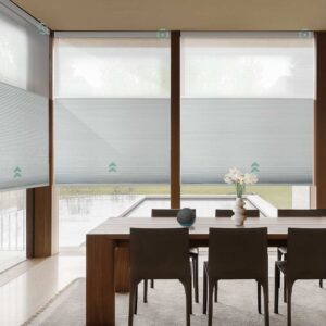 Motorized Day Night Cellular Shades