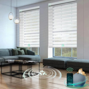 Motorized Matter Zebra Blinds