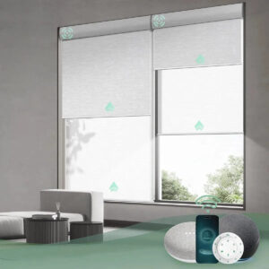 Motorized Dual Roller Shades | Blackout x Light-Filtering